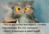 Аватара пользователя