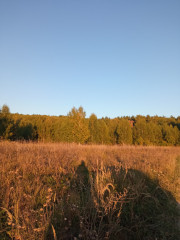 IMG_20240914_174228.jpg