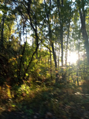 IMG_20240914_172205.jpg