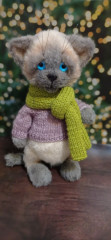 #кот филимон