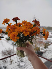 IMG_20241011_142352.jpg