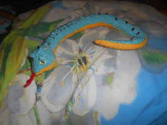 DSCN2585.JPG