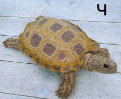 _rswWaXOHaY.jpg