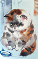 котя.jpg