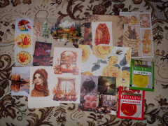 20241026_161751.jpg