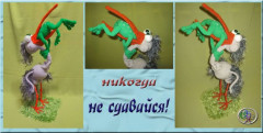 цапель.jpg