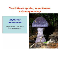 IMG_20241107_120129.jpg