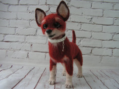 PICT0056.JPG