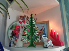 IMG_20230112_123234.jpg