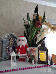 IMG_20230112_123117.jpg