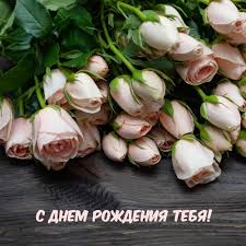 IMG_2647.jpeg