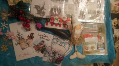 IMG_20241116_200042.jpg