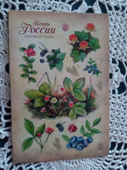 ЯгодыРоссии.jpg