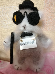 Кот базилио