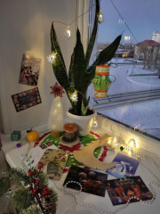 IMG_20241124_165045.jpg