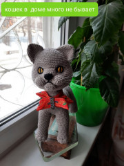 И снова котик