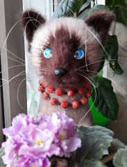 И опять котик