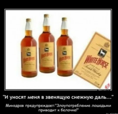 IMG_20241219_094831.jpg