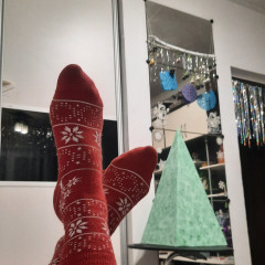 20241222_205207.jpg
