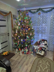 IMG_20241223_012824.jpg