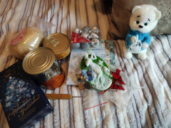 IMG_20241226_155227.jpg
