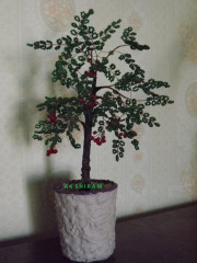 DSCF2328.JPG