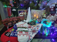 IMG_20241223_000535.jpg