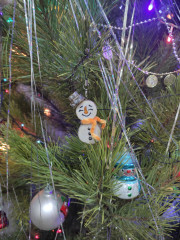 IMG_20241223_013311.jpg