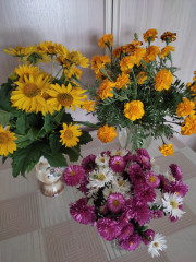 IMG_20241007_150950.jpg