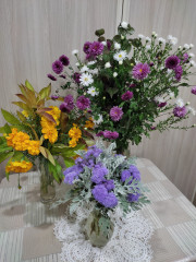 IMG_20240927_013224.jpg
