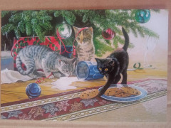 котята.jpg