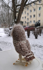#неясыть