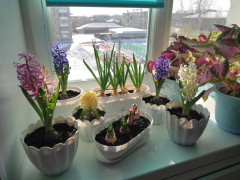 IMG_20250302_131850.jpg