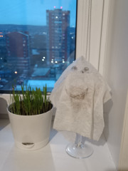 IMG_20250319_192136.jpg