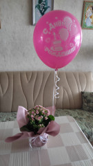 IMG_20240907_142123.jpg
