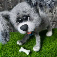20220212_112516.jpg