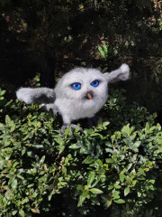 20250402_114109.jpg