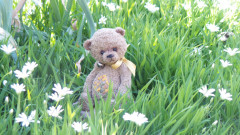 20150530_071552.jpg