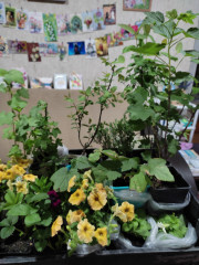 IMG_20250427_201951.jpg