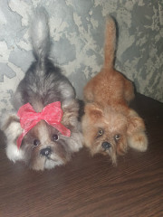 20220307_115532.jpg (239.06 КБ) 6082 просмотра Мои йорики по мк Татьяны Коротких