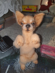 20220307_004143.jpg (264.96 КБ) 6082 просмотра Мои йорики в онлайне с Татьяной Коротких