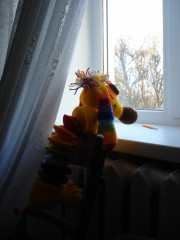 Радужная такса (4).jpeg