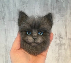 Серенькая котоброшечка!