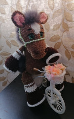 IMG_20220128_134202.jpg