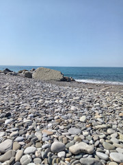 IMG_20250821_101502.jpg