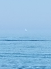 IMG_20250823_093958.jpg