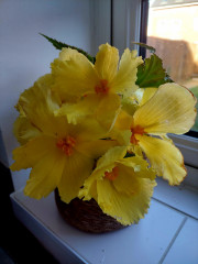20250829_090219.jpg