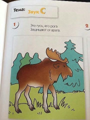 zXjjprQ4La4.jpg