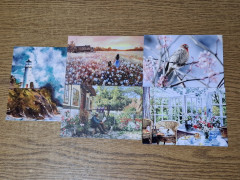 20250912_192614.jpg