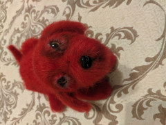 IMG_20220121_204943.jpg